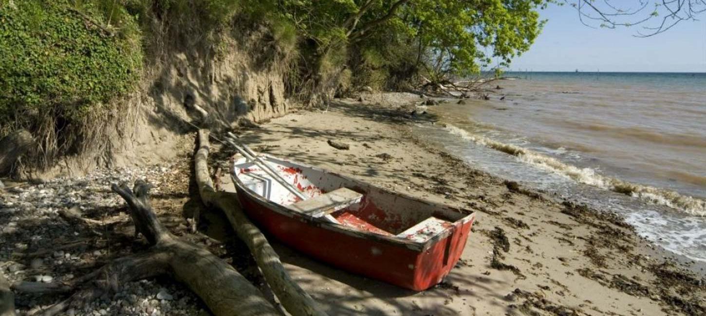 Midt i billedet ses en slidt rød jolle med to årer stikkende ud. Den ligger på en strandbred hvor der på højre side er en klit dækket af grønne buske. Till højre ses havet. 