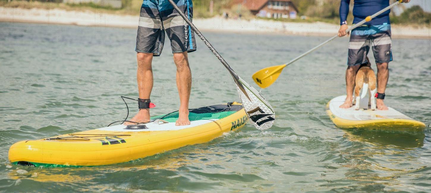 Personer på stand up paddle boards ved siden af hinanden i vandet