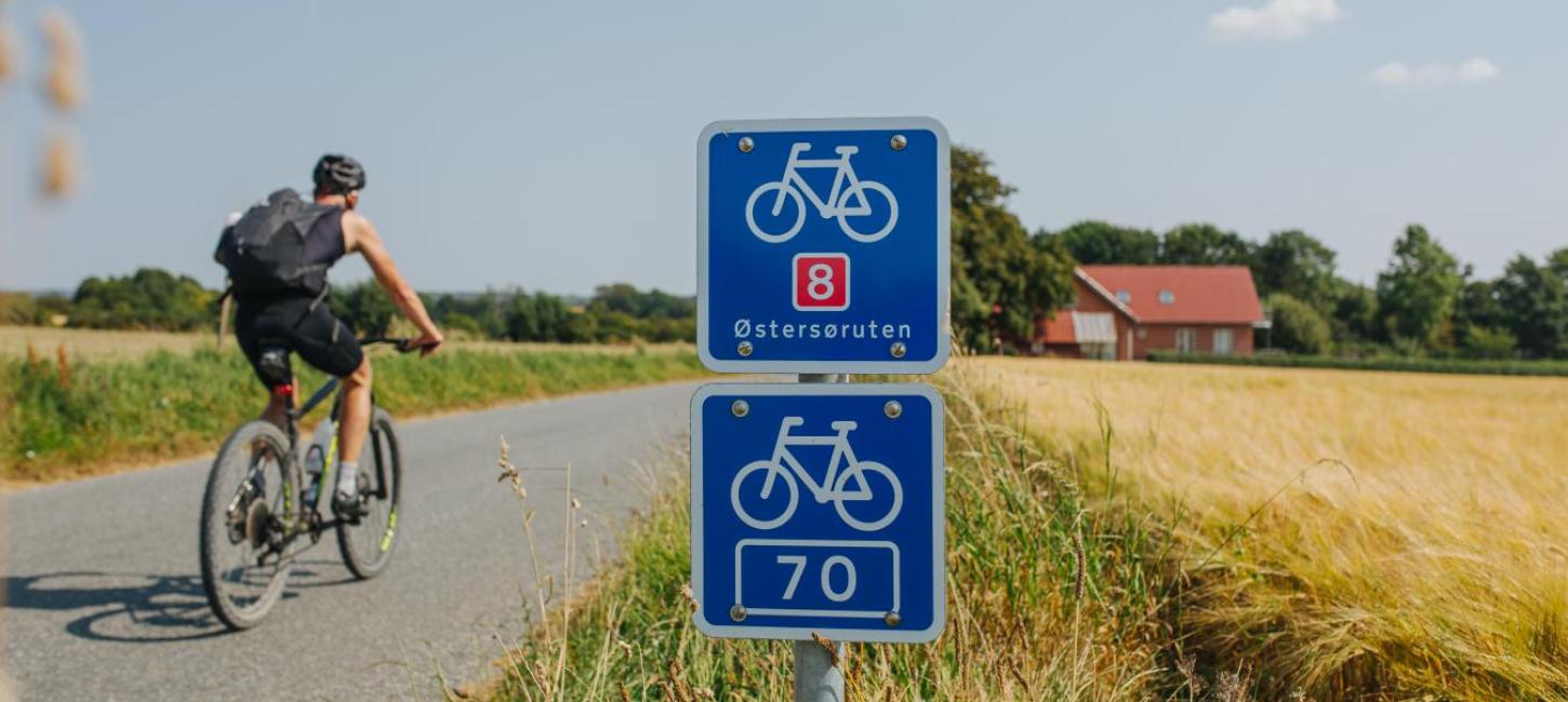 Blåt skilt med hvid cykel og et 8-tal på. Markeringen af Østersøruten. I baggrunder en cyklist og gule marker.
