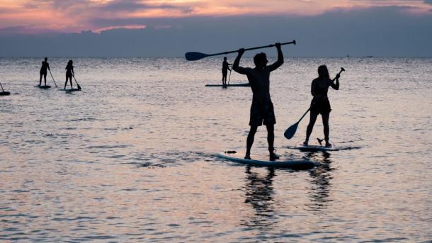En flok mennesker på stand up paddle boards ved solnedgang