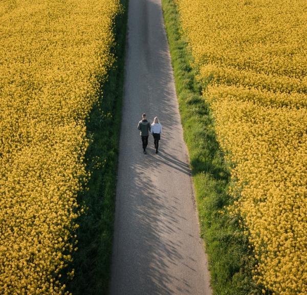 En smal vej gennemskærer en gul, solbeskinnet raspmark. Billedet er taget oppefra, så vejen skærer billedet over i to. Der går to mennesker på vejen.