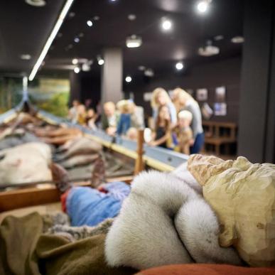 Et replikeret vikingeskib med diverse rekvisitter