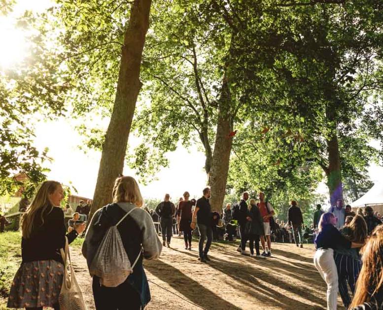 På en grussti under flere træer går en masse mennesker op imod de plastiktelte der står i baggrunden.